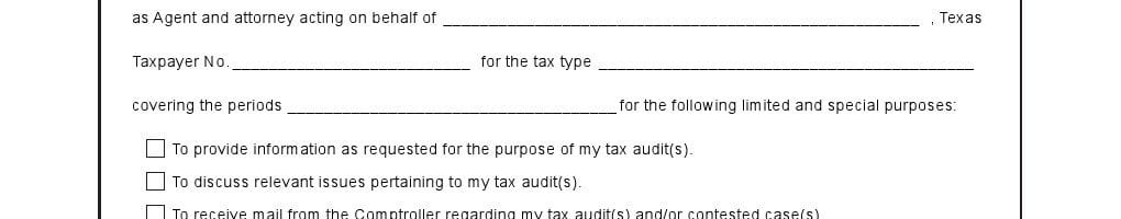 Texas Limited Power of Attorney Form for Tax Audits