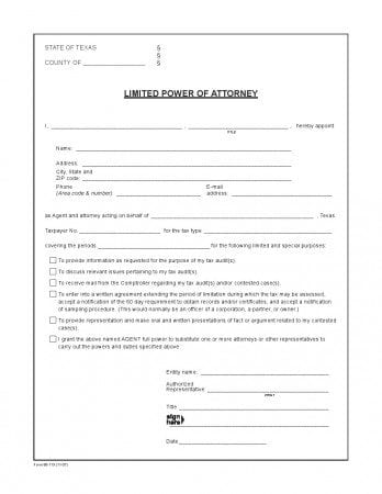 Texas Limited Power of Attorney Form for Tax Audits